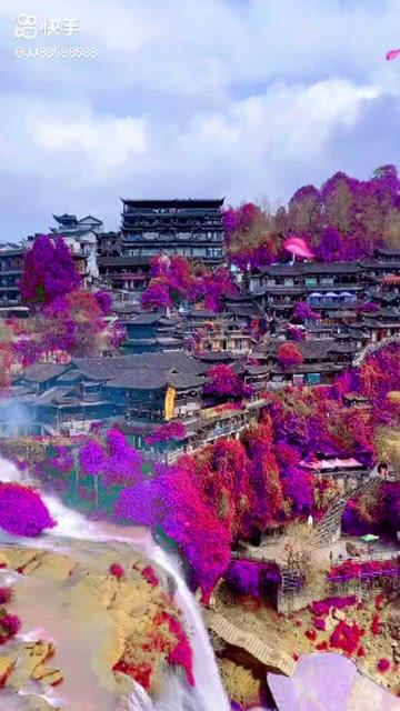 救援采蜜人