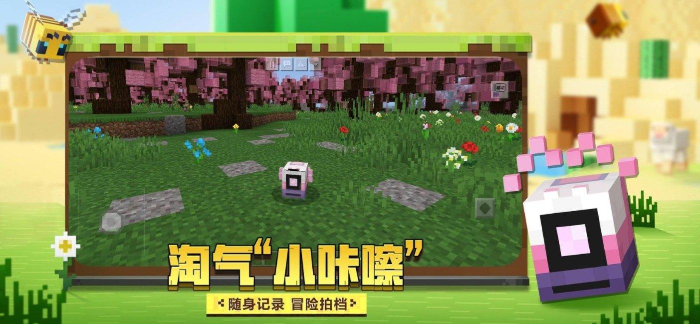 探索学以致用,学习有什么意义吗?主题的全新红迪网平台